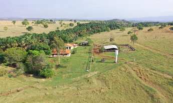 Imagem 4: Fazenda 67 Alqueires em Santa Isabel-Go