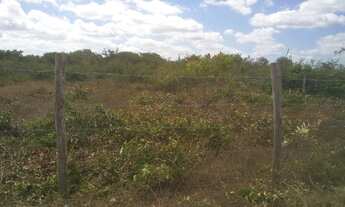 Imagem 5: Vários terrenos na Lagoa do Paraíso (Jericoacoara
