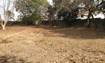 Imagem 2: Todo murado Terreno / lote com venda por R$1.340.000