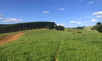 Imagem 4: Terreno 20.000 M² PÉ NA ÁGUA / Piracaia