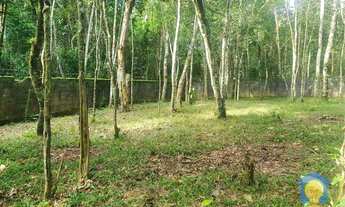 Imagem 2: Chácara à Venda, at.3000 m² por R$ 678.000 - Itapecerica da Serra/SP