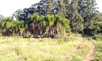 Imagem 3: Area em Campo Novo