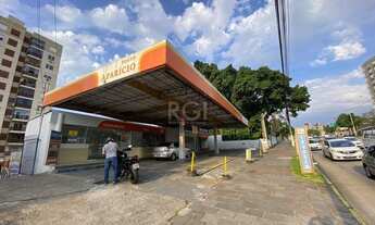 Imagem 3: Loja em Glória Galpão / depósito com 5 vagas na garagem