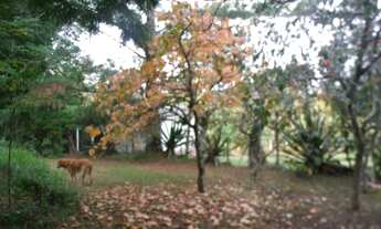 Imagem 2: Casa 4 dormitórios em Viamão