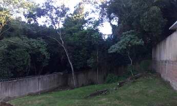 Imagem 4: Terreno em Lomba do Pinheiro