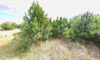 Imagem 2: Terreno em Balneário Atlântico