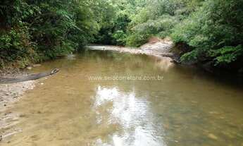 Imagem 7: Excelente Fazenda no Muni. de Nova Brasilandia -MT