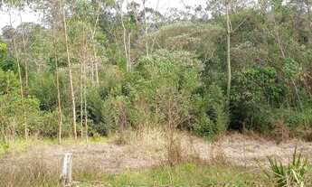 Imagem 7: Paisagem Renoir - Cotia/SP