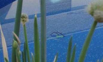 Imagem 4: GRANJA VIANA - SÃO PAULO II