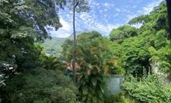 Imagem 7: Maravilhosa casa no Cosme Velho