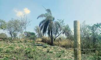 Imagem 4: Lote próximo ao rio Paraopeba