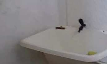 Imagem 3: Apartamento para venda possui 90 metros quadrados com 2 quartos em Nordeste - Salvador - B