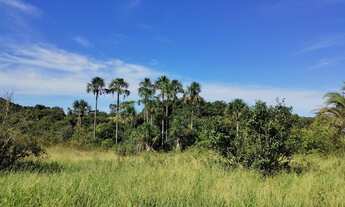 Imagem 6: Sítio 4,0 alqueires com muita água, Monte Alegre de Minas MG