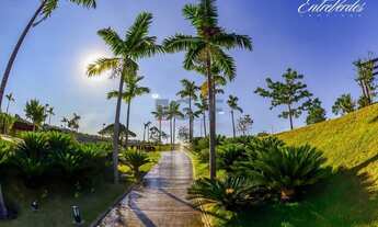 Imagem 2: Terreno - Loteamento Residencial Entre Verdes (Sousas) - Campinas