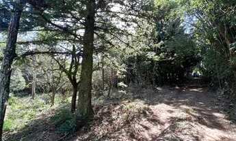 Imagem 10: Sítio Com Açude Em Condomínio Fechado. ROB:438