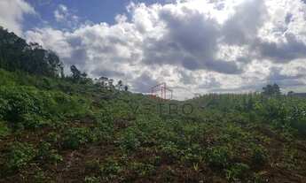 Imagem 7: Sítio no bairro Serra Grande em Gramado!