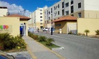 Imagem 4: Vendo apartamento residencial parque das árvores 2