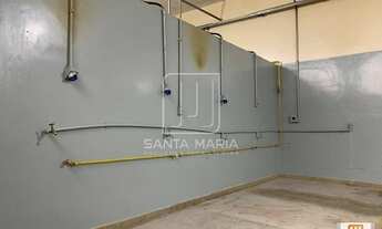 Imagem 7: Salão/Galpão (salão - sobrado