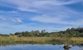 Imagem 6: Velleda oferece magnífico sítio 2 hectares, com casa, e fundos para lagoa, na Águas Claras