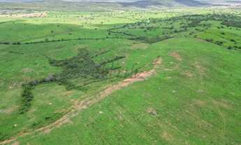 Imagem 5: Fazenda à venda 172 hecteres, Jeremoabo - Bahia