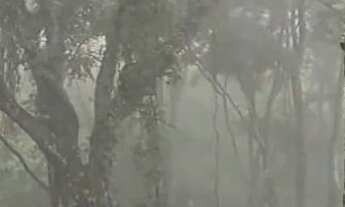 Imagem 4: VENDO TERRENO CHÁCARA MORRO SETIMO CÉU