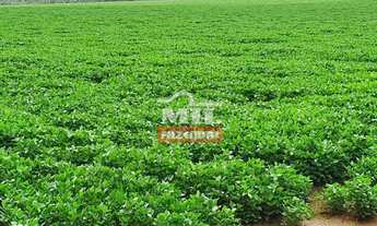 Imagem: Fazenda 33 alqueires (158,4 hectares) Parauna