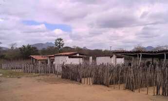 Imagem 6: Fazenda de criação pecuária