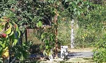 Imagem 6: Vende linda chácara em Acuruí