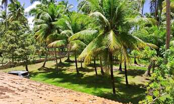 Imagem 7: Imóvel para venda tem 10000 metros quadrados com 4 quartos em Massagueira - Marechal Deodo