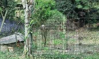 Imagem 3: Terreno à venda no Jardim Shangrilá (Zona Sul