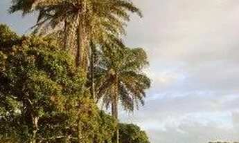 Imagem 3: JAGUARIPE - RURAL - ZONA RURAL