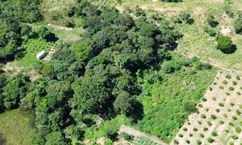 Imagem 4: Rancho/ Sítio/ Chácara