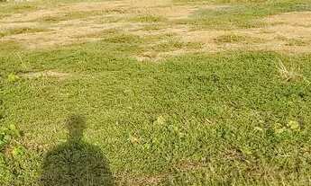 Imagem 3: Vendo terrenos na praia da caueira a 250 metros da praia na melhor localização