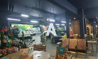 Imagem 2: Aluguel Sala MARTINS