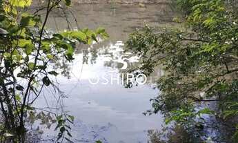 Imagem: Vendo 5 Alqueires, sendo 24.2 Hectares Eem