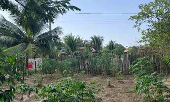 Imagem 3: Vendo Terreno Grande -(área verde