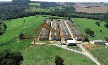 Imagem 7: Sítio com galpões de granja, 85 mil aves, área com 20,8 alqueires