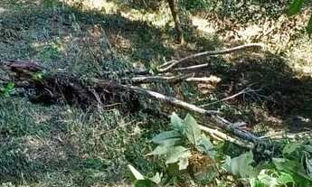 Imagem: Terreno em Nova Friburgo, Teodoro Oliveira