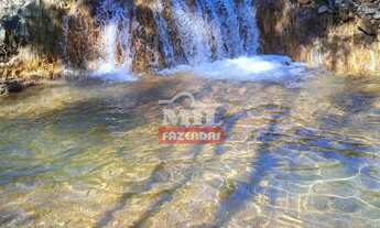 Imagem: Fazenda 337 Alqueires( 1.638 Hectares )