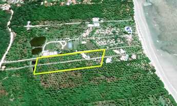 Imagem 2: Imóvel para venda com 13000 metros quadrados em Morro de São Paulo - Cairu - BA