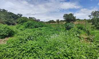 Imagem 2: Vende-se mini chácara de 4.000 no núcleo rurak Alexandre Gusmão