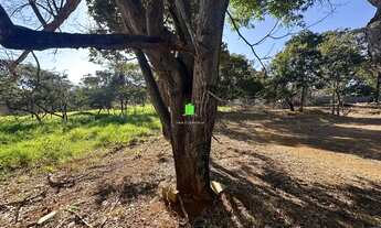 Imagem 2: Lote Plano de 1000m²