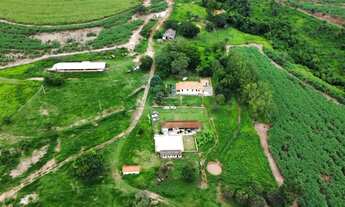 Imagem 3: Fazenda com 151,80 hectares à venda - Santa Rosa do Viterbo/SP