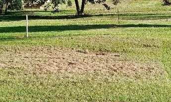 Imagem 2: Lote alagado salto caxias