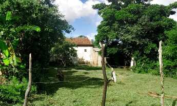 Imagem 2: Terreno limpo e plano