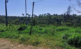 Imagem 2: FAZENDA 118,266 HECTARES TIROS MG