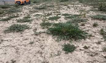 Imagem: Vendo ou troco chácara