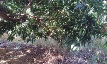 Imagem 7: Casa em Leopoldina, mg