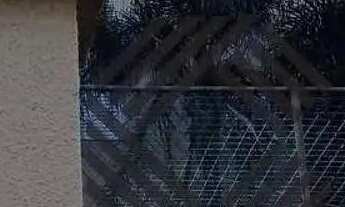 Imagem 2: Apartamento com 2 dormitórios para alugar, 48 m² por R$ 1.360,36/mês - Loteamento Dinorá R