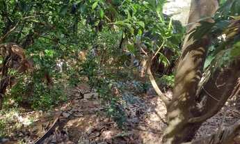 Imagem 4: Casa em Leopoldina, mg